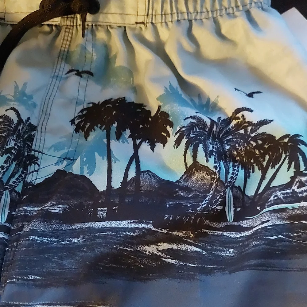 Burnside Boys Size Small Swim Trunks Shorts Grey Palm Trees Surf Boards Ocean
